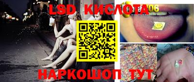стафф Шелехов