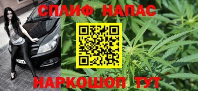 стафф Шелехов