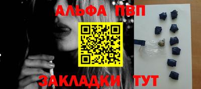 стафф Шелехов