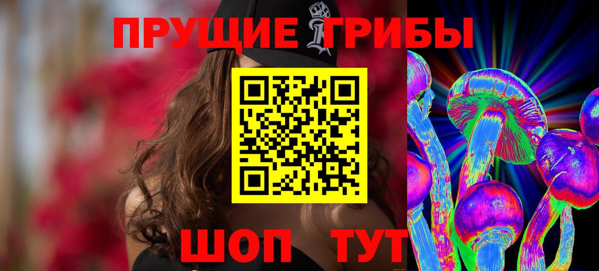 Псилоцибиновые грибы Psilocybe Ангарск