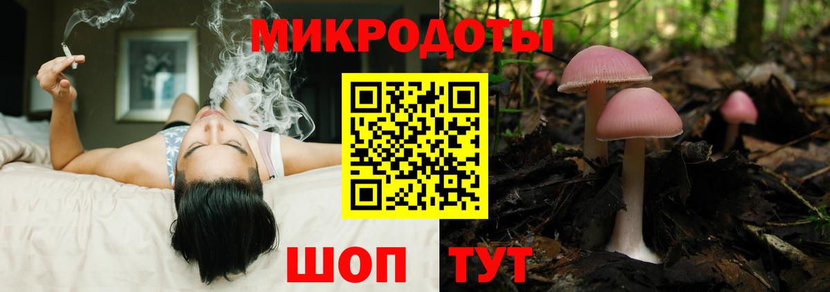 где купить наркоту  Псилоцибиновые грибы GOLDEN TEACHER  Псилоцибиновые грибы Cubensis  Вход с VPN  Ангарск 